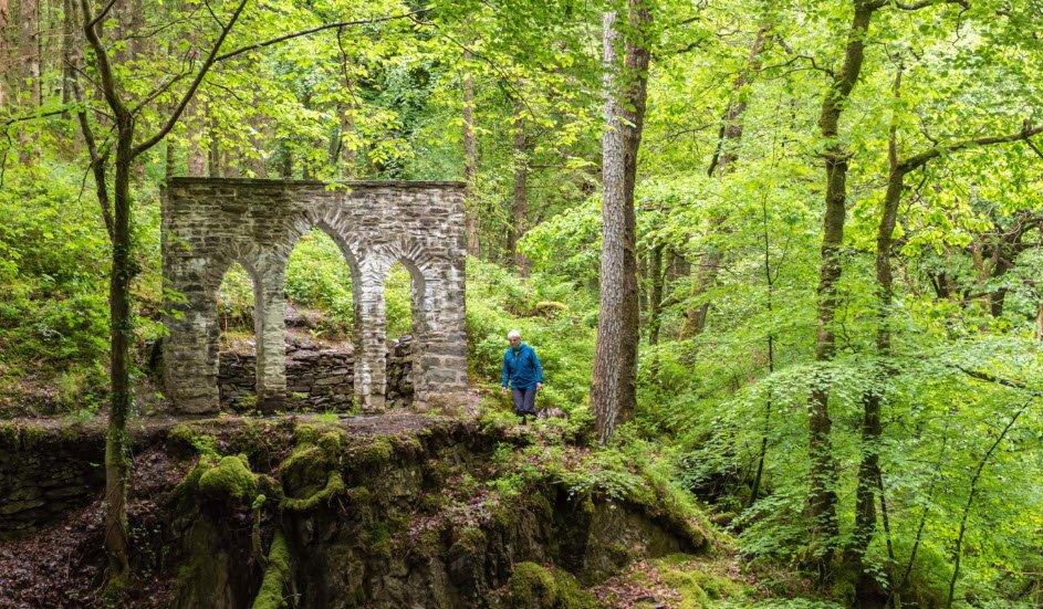 Hafod Estate, United Kingdom